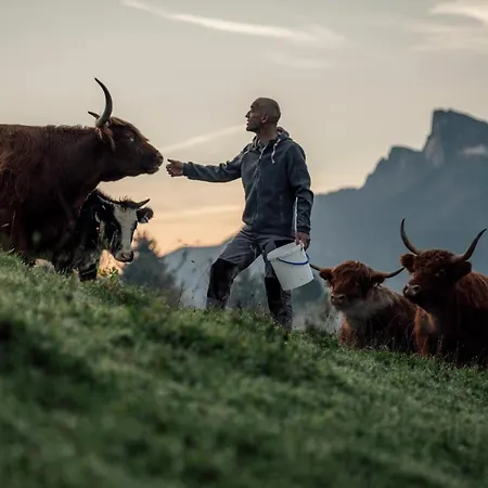 Aichingerwirt מונדסי