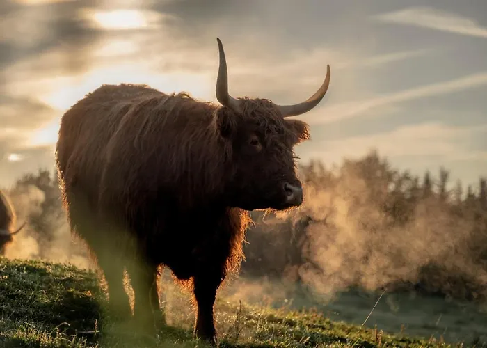 Aichingerwirt Hotel 3*