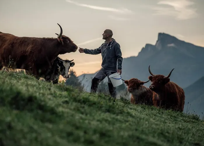 Aichingerwirt Mondsee