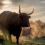 Aichingerwirt ホテル 3*